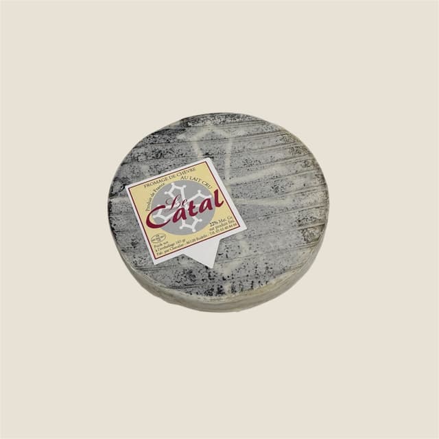 Catal